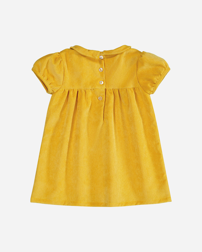 Robe manches courtes velours jaune moutarde vue de dos.