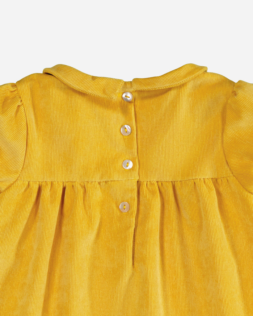Zoom sur le col claudine d'une robe manches courtes velours jaune moutarde vue de dos.